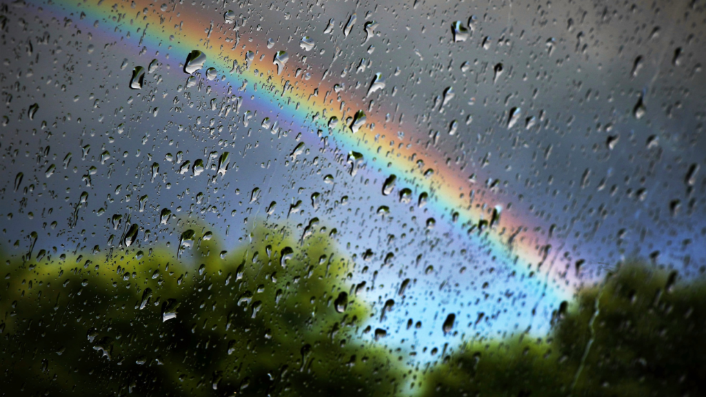 雨粒と虹